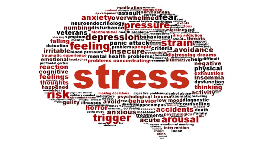 Managing Mind Stress: Effective Strategies for a Calm Mind